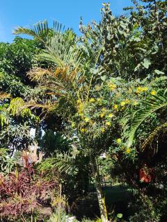 Apartment At House OneSixty - Arusha - 1