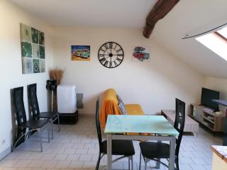 Appartement climatisé avec parking privé à Doué la fontaine - Doué-la-Fontaine - 0