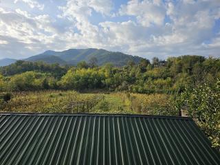 Guesthouse - Family Hotel - 8