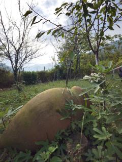 Guesthouse - Family Hotel - 5