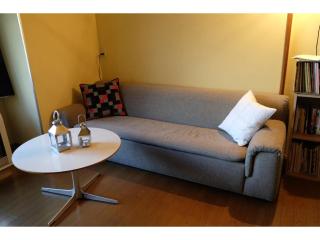 Asahikawa Henshushitsu - Vacation STAY 13647 - Asahikawa - 8