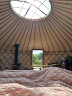 Bracken Yurt at Walnut Farm Glamping - 9