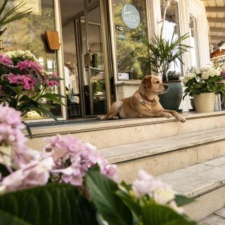 Hotel Berlin Tegernsee - 8