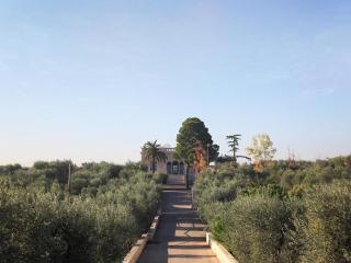 Tenuta Lama Gorga - Trani - 7