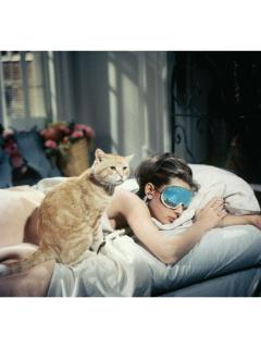 Hostal El Molino - 3