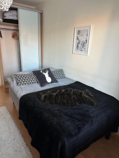 Sofia Rovaniemi City Apartment - Rovaniemi - 5