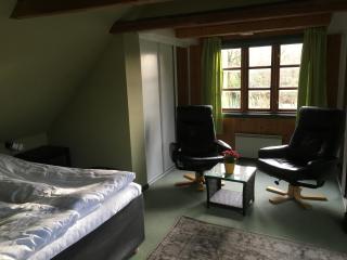 Harvey`s Bed & Breakfast - Hjørring - 4