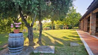 Pian della Bandina - Città della Pieve - 5