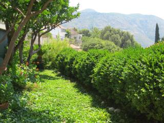 Apartments Lonza - Mlini - 4