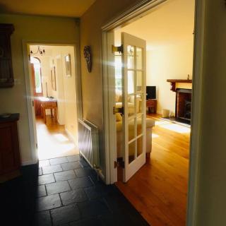 Springfields - - 1