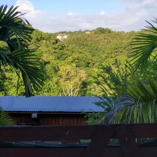 Anais location 971 Guadeloupe - 9