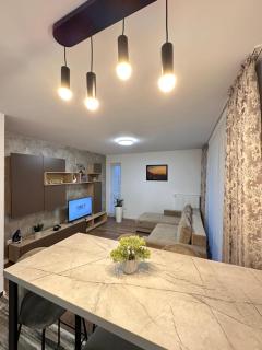 Deluxe Cozy Apartments - Coresi Mall #Brasov - Braşov - 7
