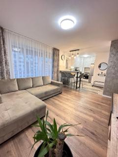Deluxe Cozy Apartments - Coresi Mall #Brasov - Braşov - 9