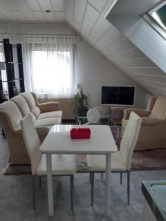 Ruhiges Einzimmer-Apartment - Backnang - 5