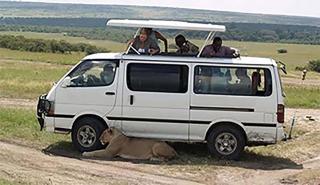 Ali Lewa Tours - Mombasa - 4