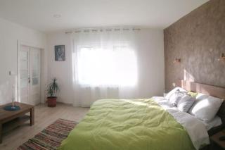 Casa cu trandafiri - Baia Mare - 9