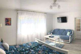 Casa cu trandafiri - Baia Mare - 6