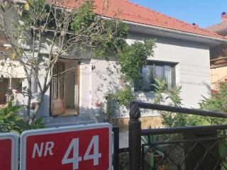 Casa cu trandafiri - Baia Mare - 4