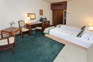 Danubius Hotel Hungaria City Center - Budapest - 7