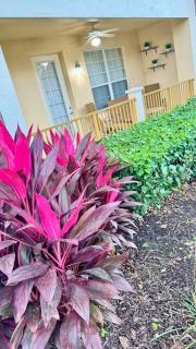 P13# Vista Cay/Lakeview/Newly Renovated/ Walk OCCC - Orlando - 5