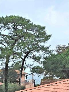 Studio Duplex Arcachon - Arcachon - 1