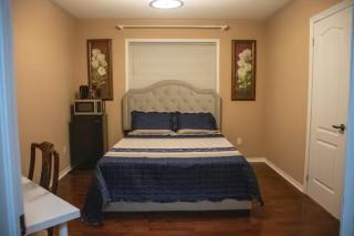 Riz Khan Peaceful Mississauga Home - Mississauga - 2