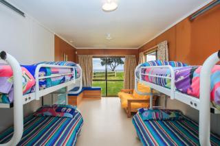 Sandy Bay Beachfront - Matapouri - 6