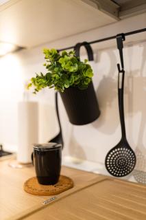 Ultra central apartment - 2