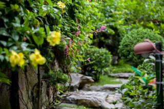 Tam Coc Lion Kings Hotel & Resort - Ninh Binh - 5