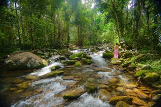 Cairns Rainforest Retreats - Bellenden Ker - 0