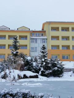 Lipno Wellness - Frymburk C 301 - Frymburk - 0