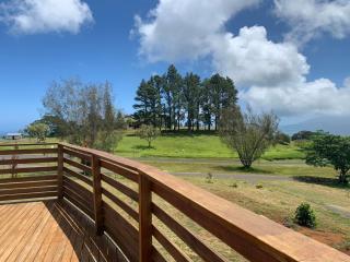 Puunui Lodge - Vairao - 8