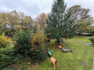 Ulmenhof Melfsen - Gemütliches Ferienhaus auf dem Bauernhof - 4
