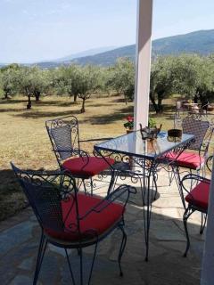 ZeusPlace Olympus Olive Country House 1 - Leptokarya - 9