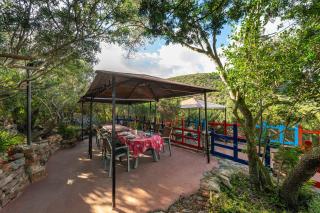 Il Lentischio - Corbezzolo - 9