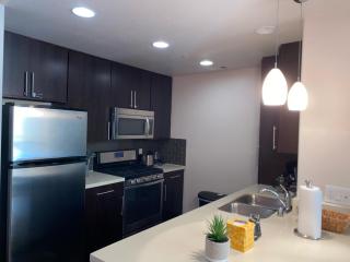 Spacious and Stylish unit - 9