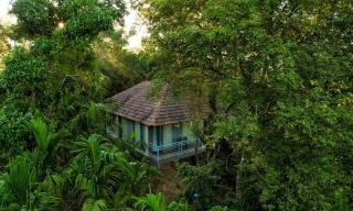 Green Tree Resort - Kodlipet - 0