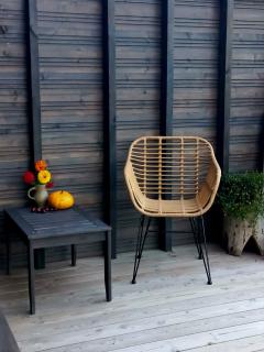 Namelis Gluosnė - 3