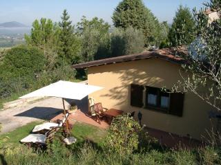 Podere Caldaruccio La Pineta - Bungalow - Ramazzano - 0
