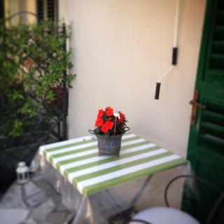 Terrazza Ginori - 6
