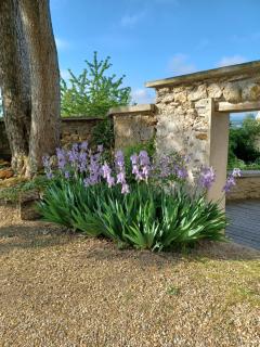 LE VERGER - Vaux-sur-Seine - 3