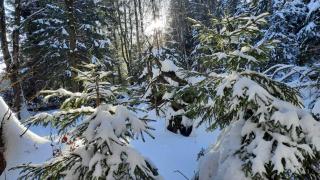 Apartament Bellavue w Czarnej Perle - 6