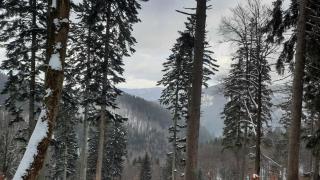 Apartament Bellavue w Czarnej Perle - 8