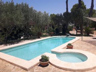 Incredibly Charming Villa By The Sea Of Son Veri - 1
