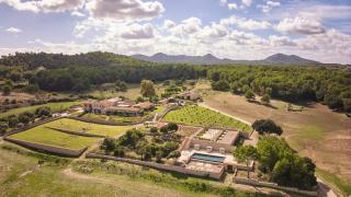 Finca Sestelrica - Artá - 8
