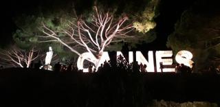 Joli appartement vue sur mer - Cannes - 3
