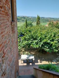 Agriturismo La Ca'Solare - Palaia - 4
