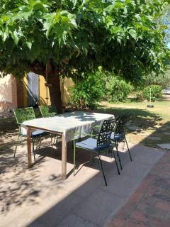 Agriturismo La Ca'Solare - Palaia - 6