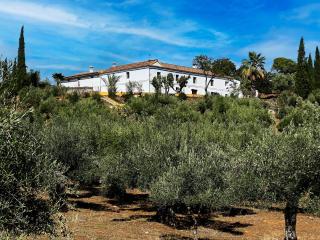 Isla Virgen - Villaviciosa de Córdoba - 7
