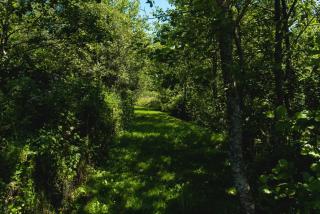 Blare Cottage at Lower Aylescott - 3